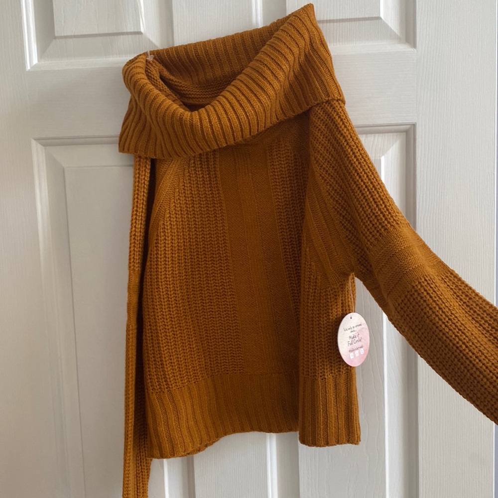 Turtle Neck Sweater